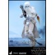 Star Wars Battlefront Videogame Masterpiece Action Figure 2-Pack 1/6 Snowtroopers 30 cm